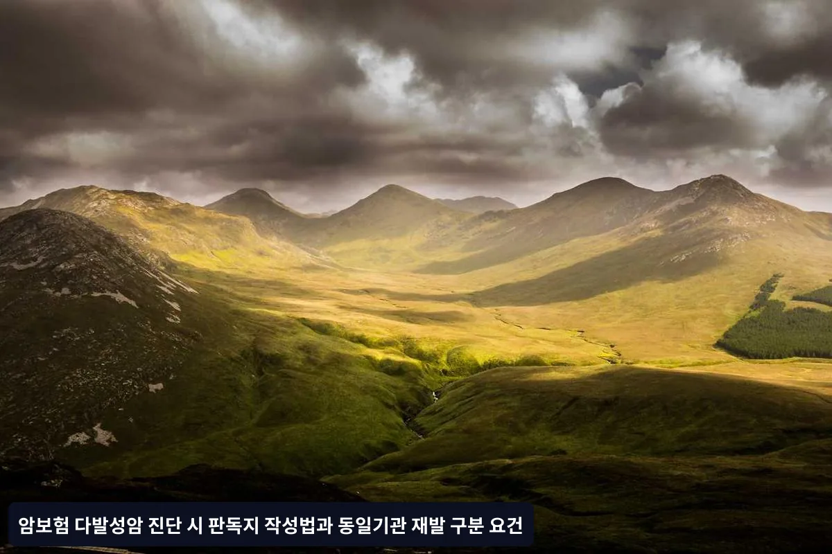 다발성암과 동일기관 재발의 의학적 정의