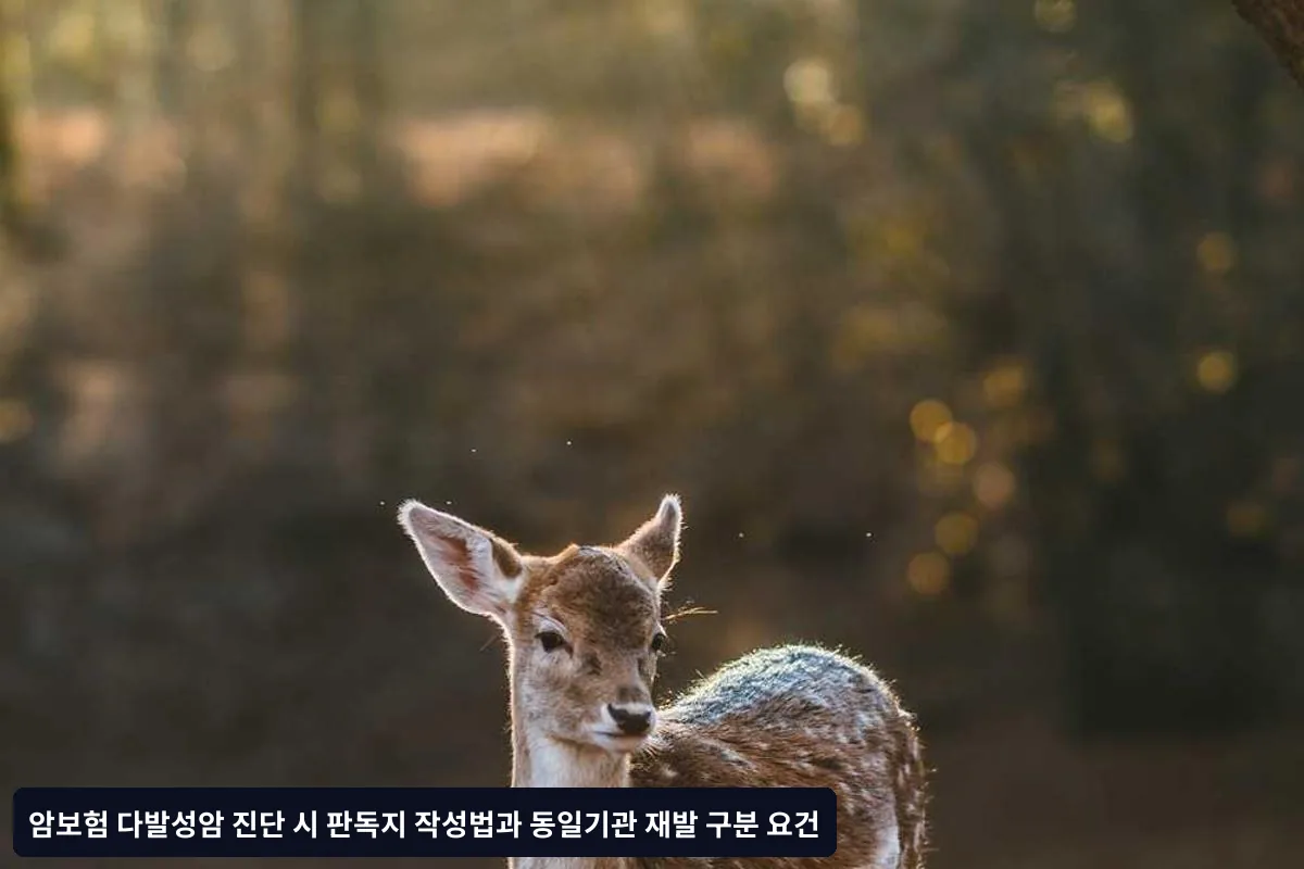 실무상 자주 발생하는 오류 사례