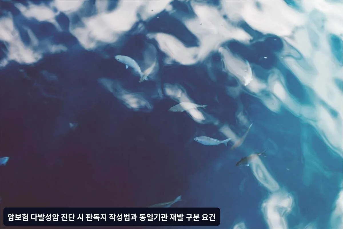 판독지 작성 체크리스트