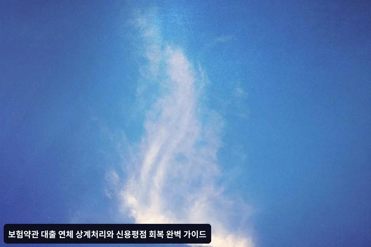 예방 및 관리 전략