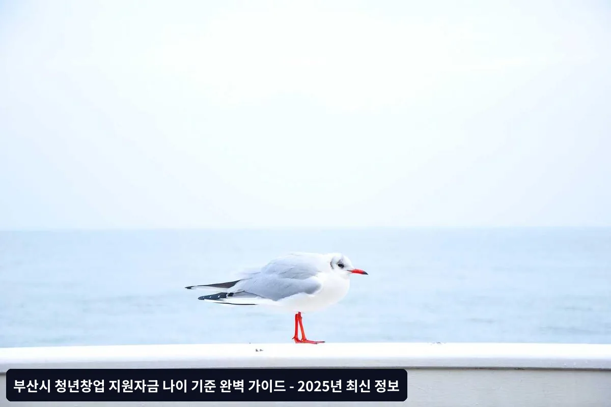 정확한 연령 계산법