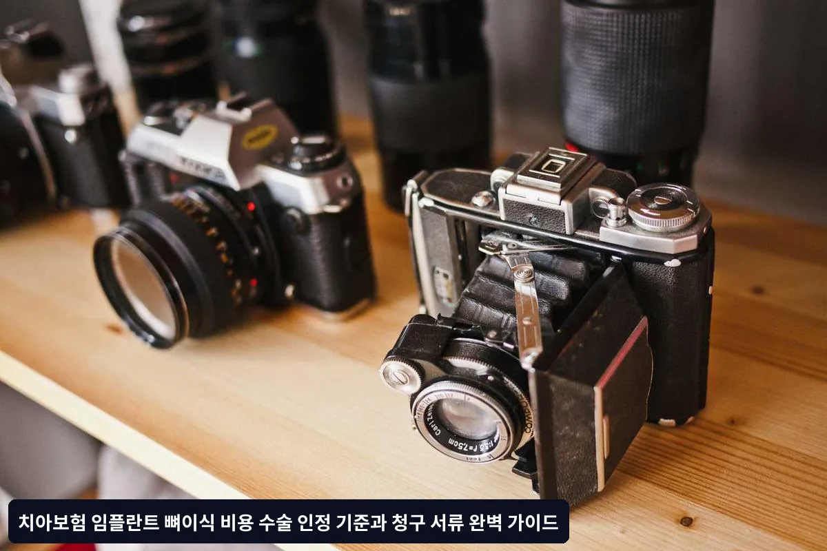 뼈이식 수술 인정 기준