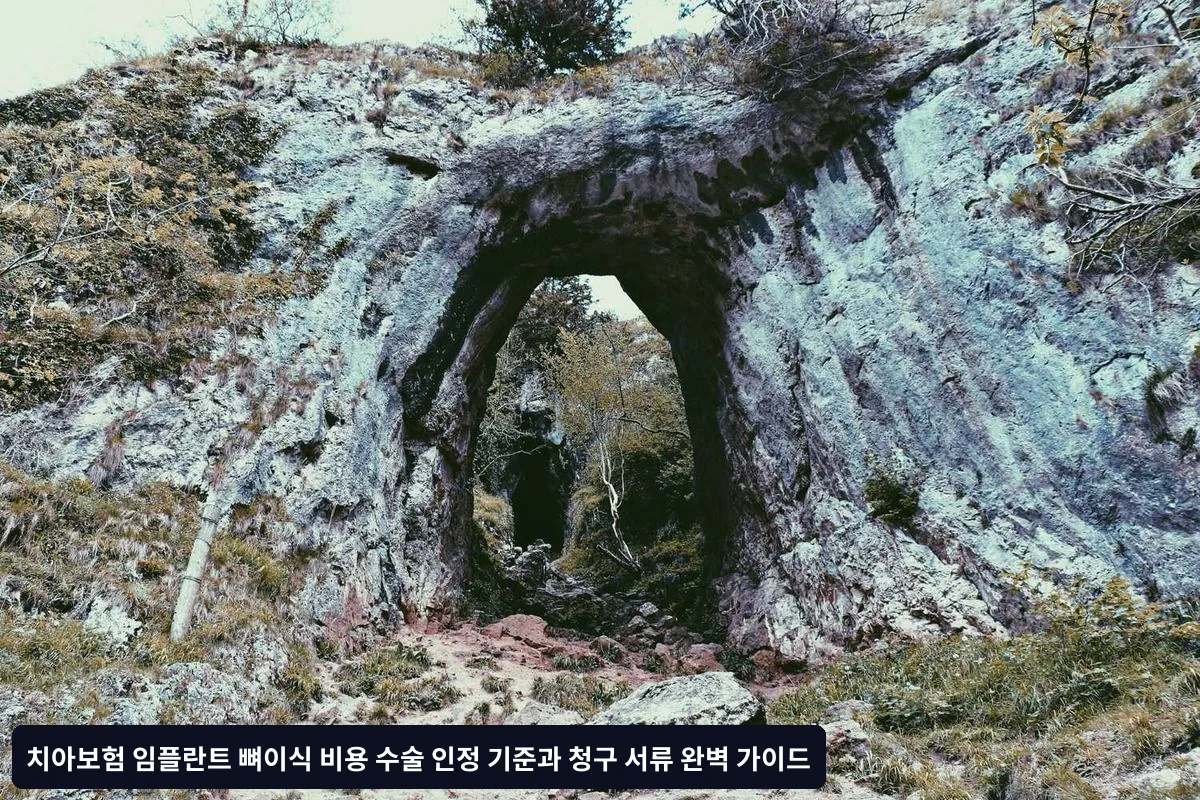 최종 체크리스트