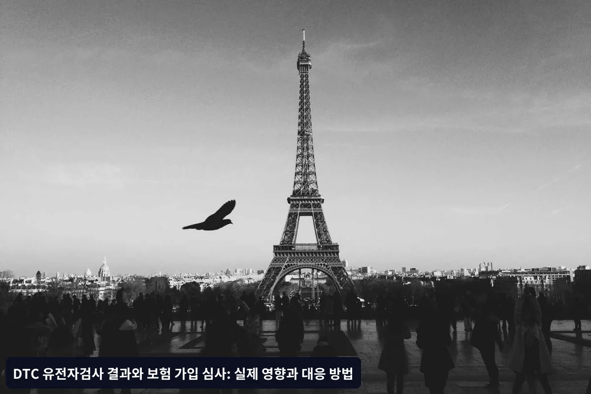 실제 사례 분석