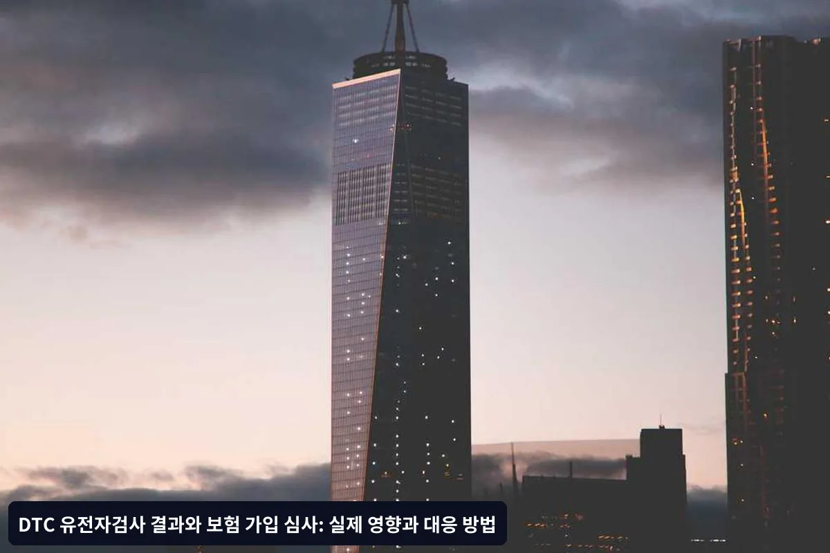 주요 결론