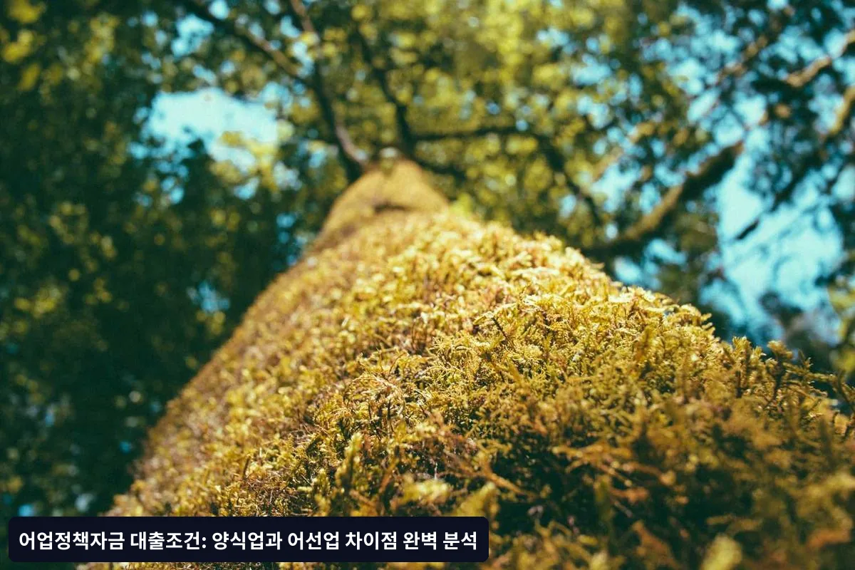 어업정책자금 구조와 분류
