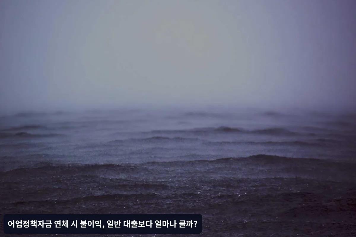 일반 대출 연체 불이익과의 비교