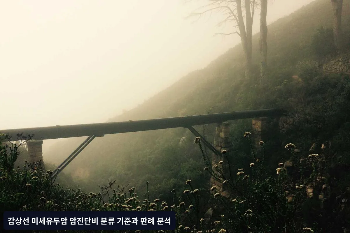 보험사별 심사 기준 차이점