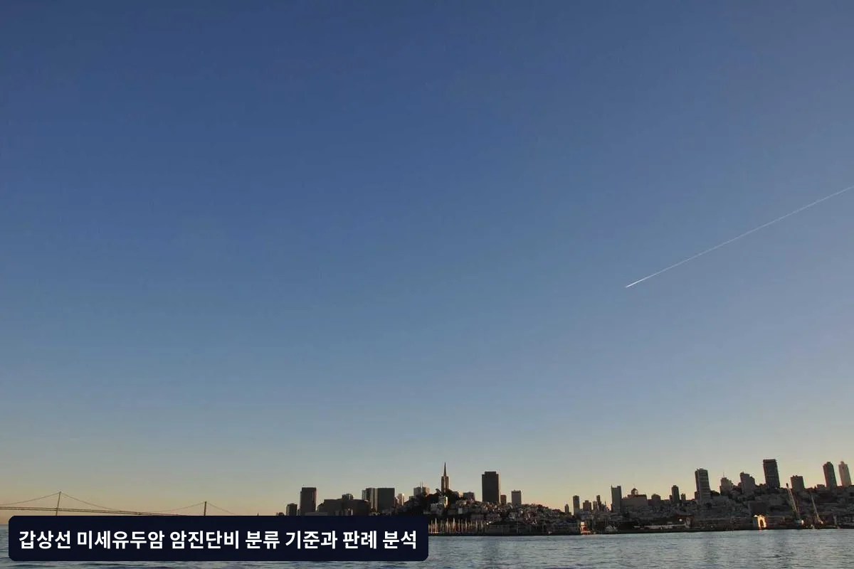 2025년 최신 동향과 향후 전망