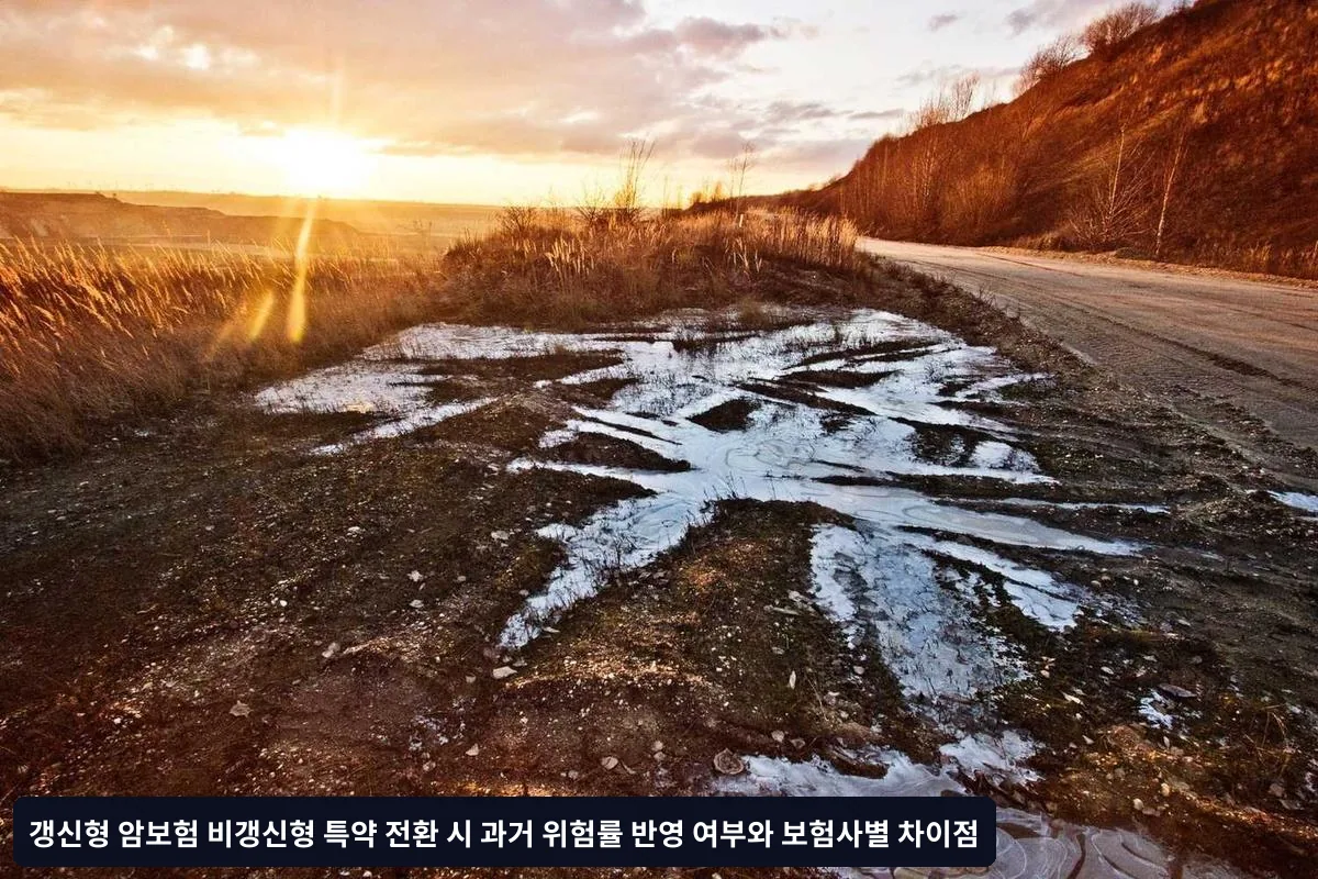 특약 부분 전환 시 주의사항