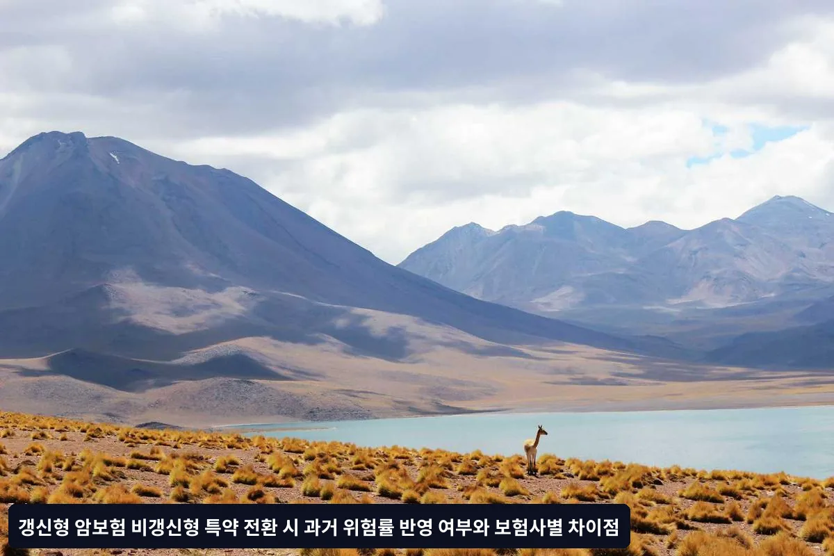 전환 절차 및 타이밍