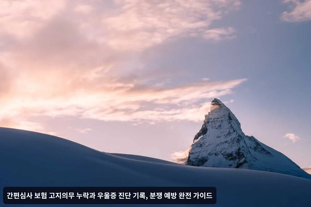 실무진의 조언과 체크리스트