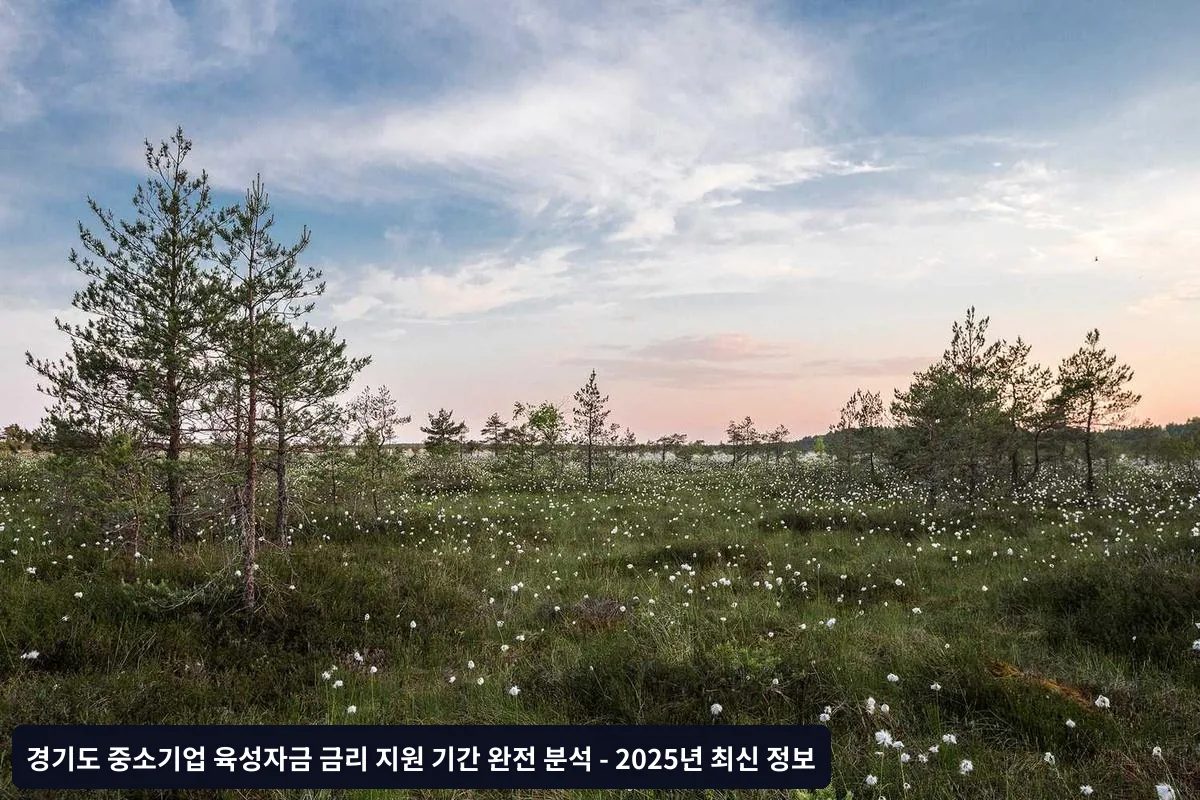 주의사항 및 유의점