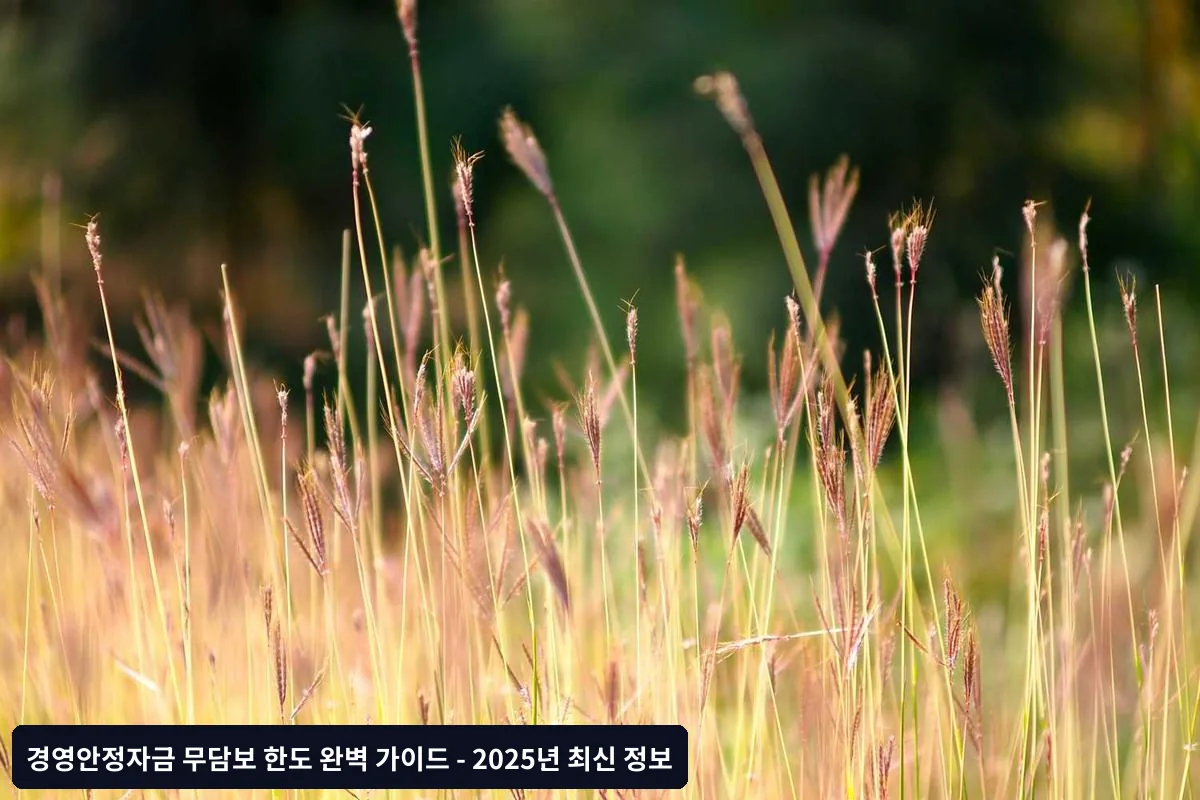 기본 무담보 한도 체계