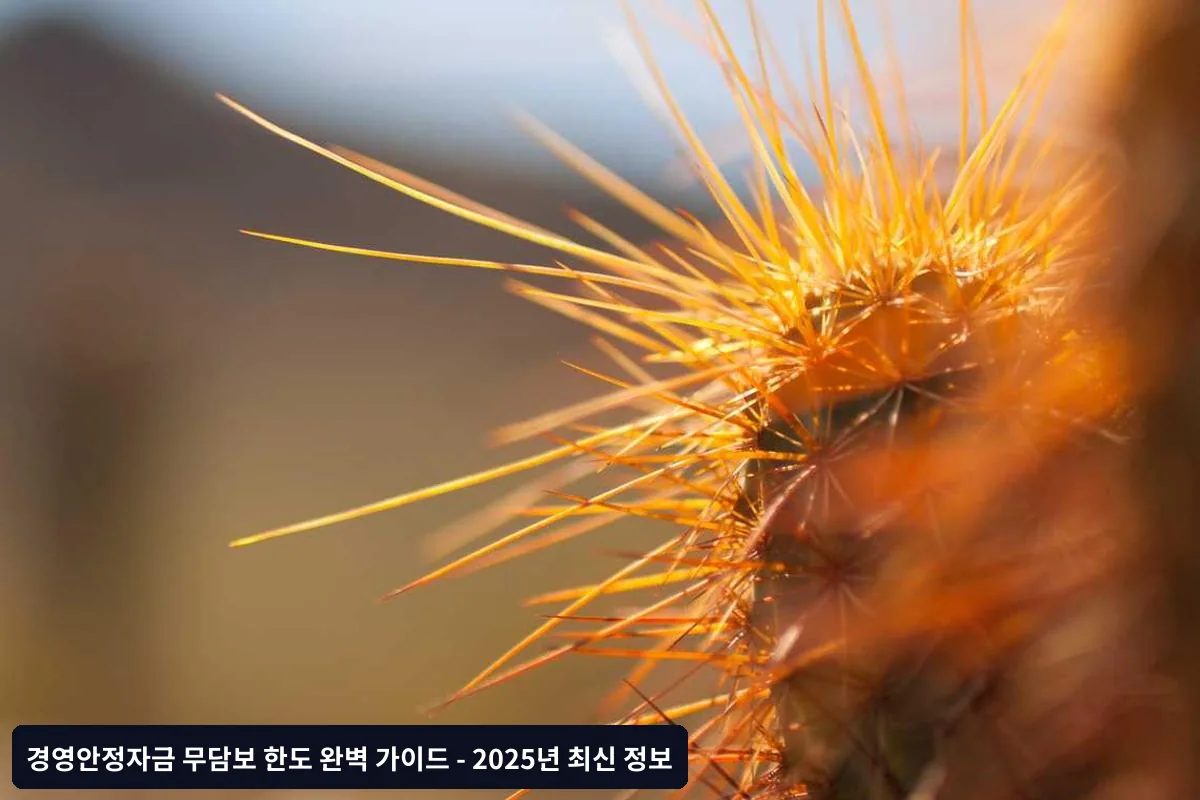 실제 승인 가능 금액