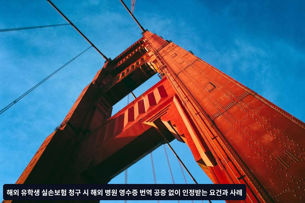 번역 공증 면제 가능 조건