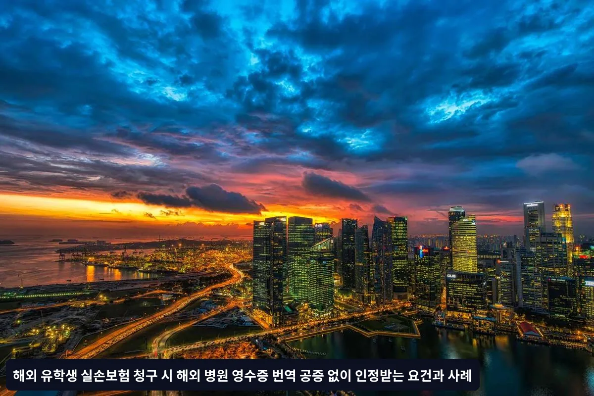 청구 시 주의사항 및 팁