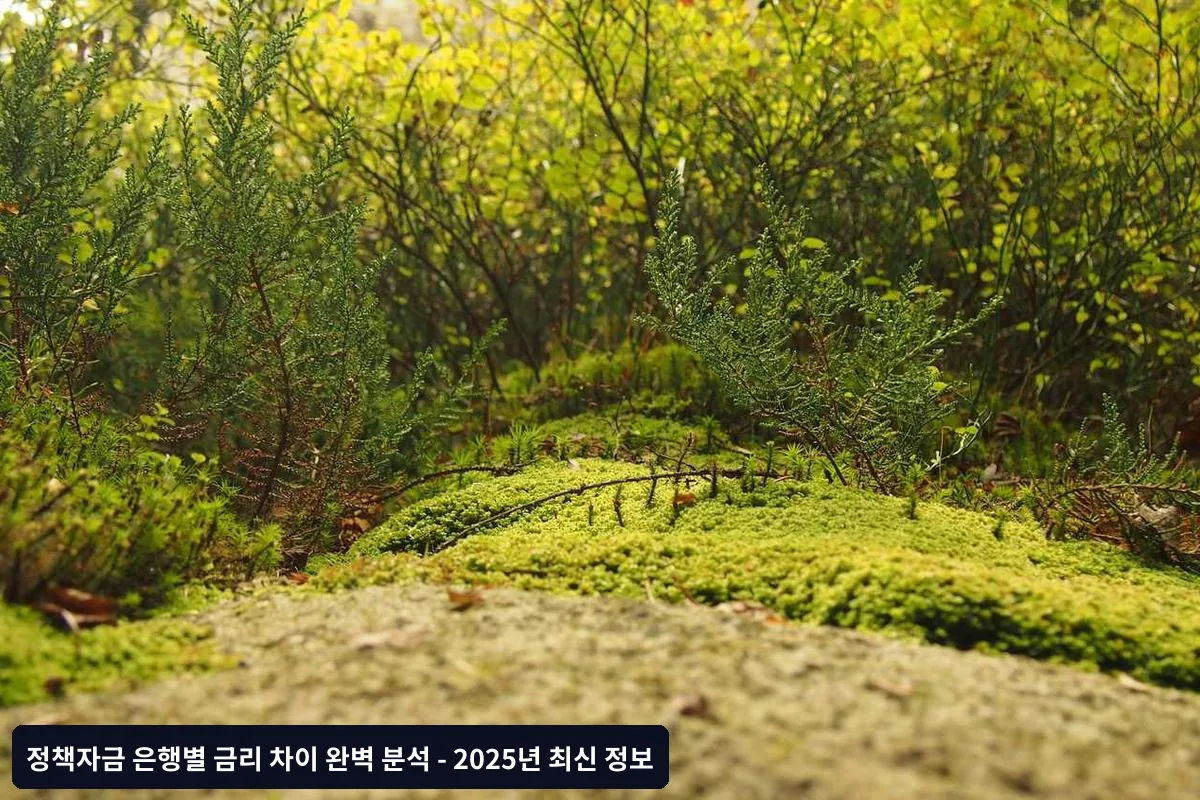 3. 영업 전략 및 목표