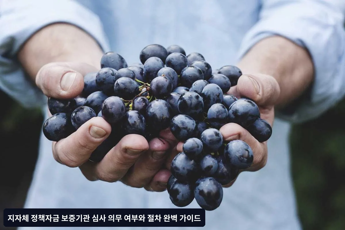 지자체 정책자금과 보증기관 심사의 관계