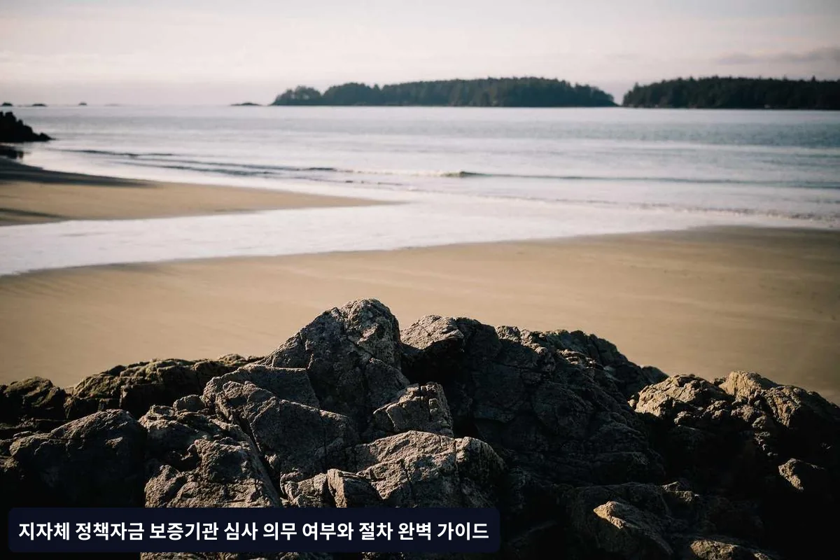신청 성공률을 높이는 전략