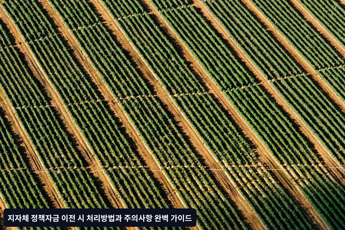 실무 처리 팁과 주의사항