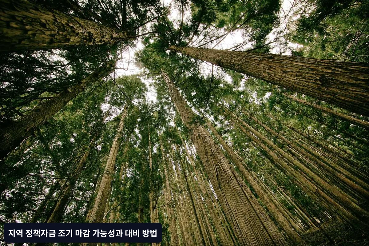 지역 정책자금 조기 마감의 주요 원인
