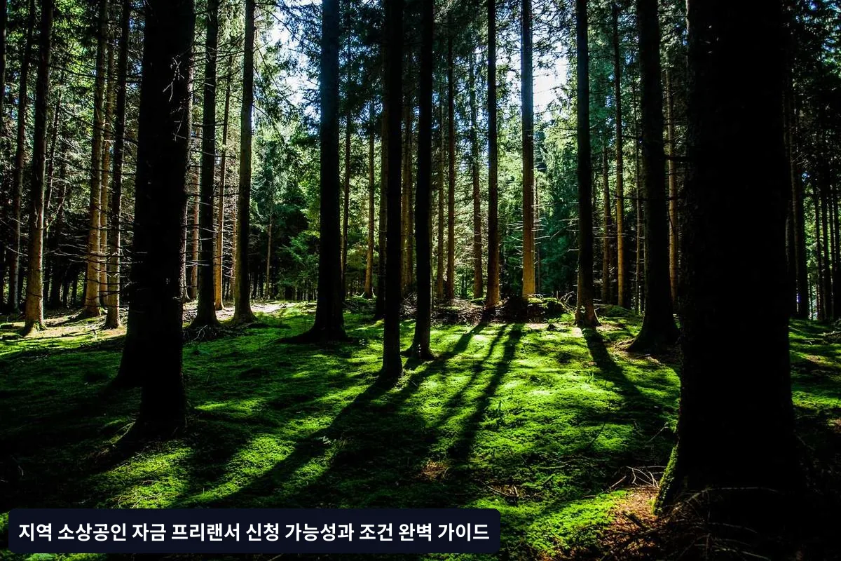 서울시 소상공인 지원 정책