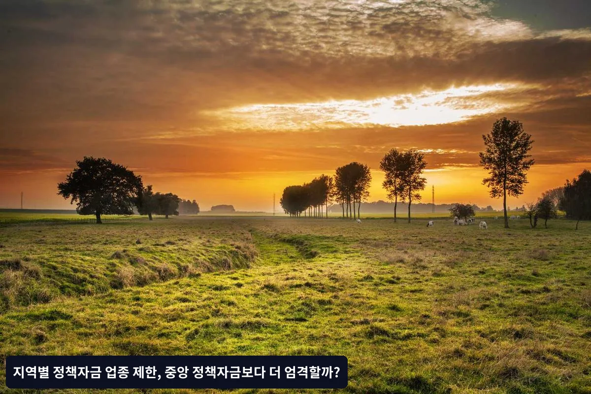 업종별 제한 사유와 배경