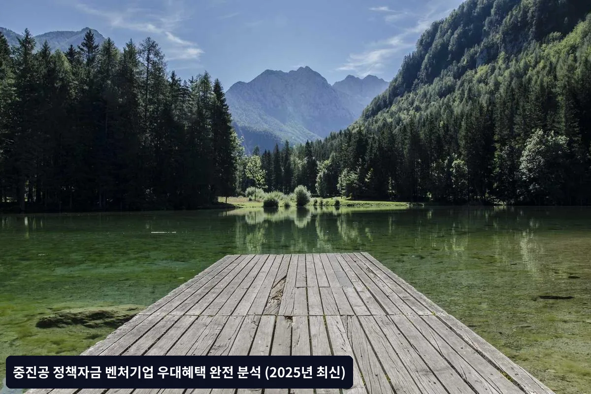 신청 성공 체크리스트