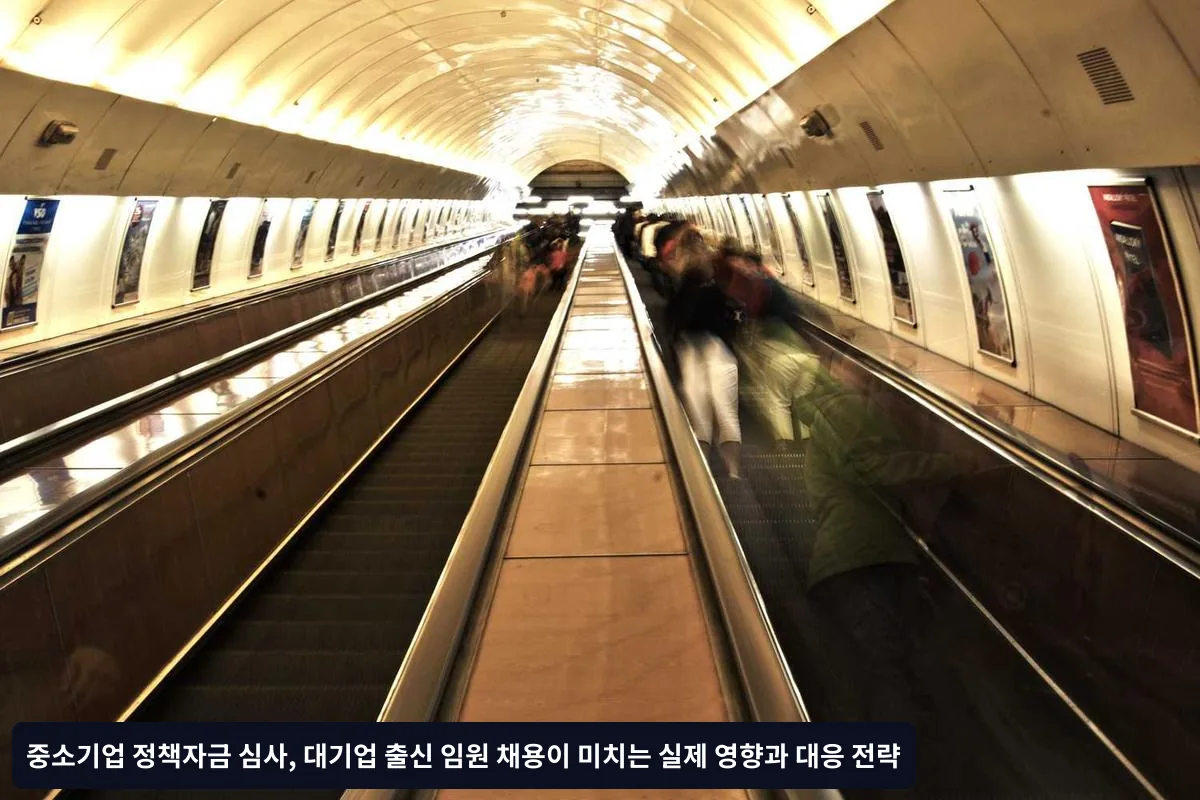 창업지원자금