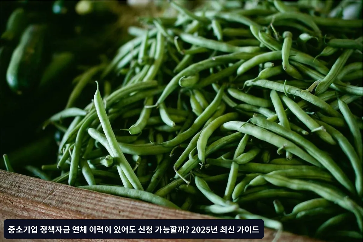 신용등급에 따른 정책자금 종류