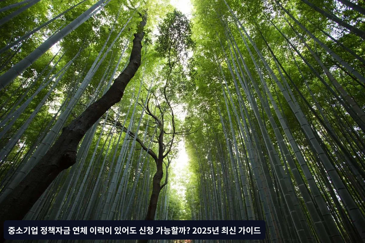 체크리스트: 연체 이력 기업의 정책자금 신청 준비