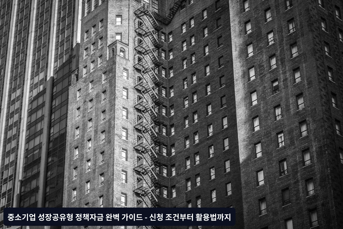 주요 지원 프로그램
