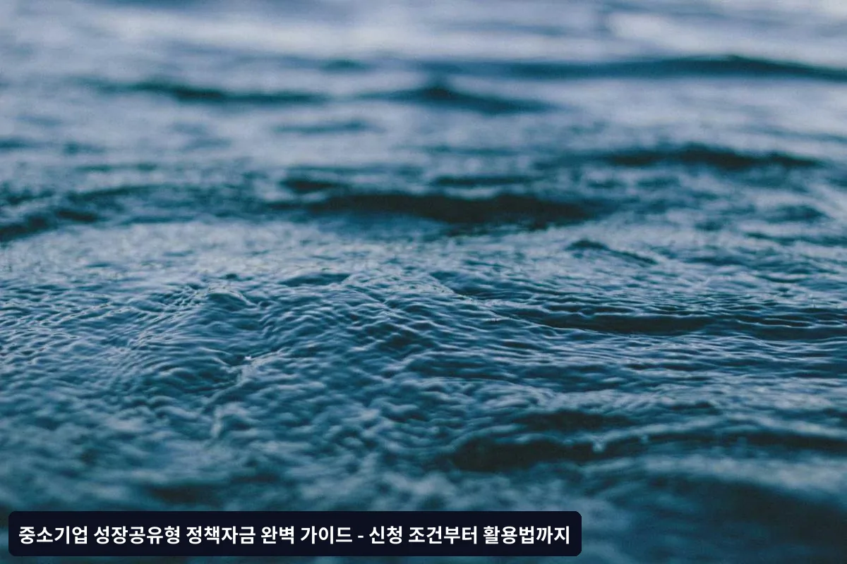 심사 평가 기준