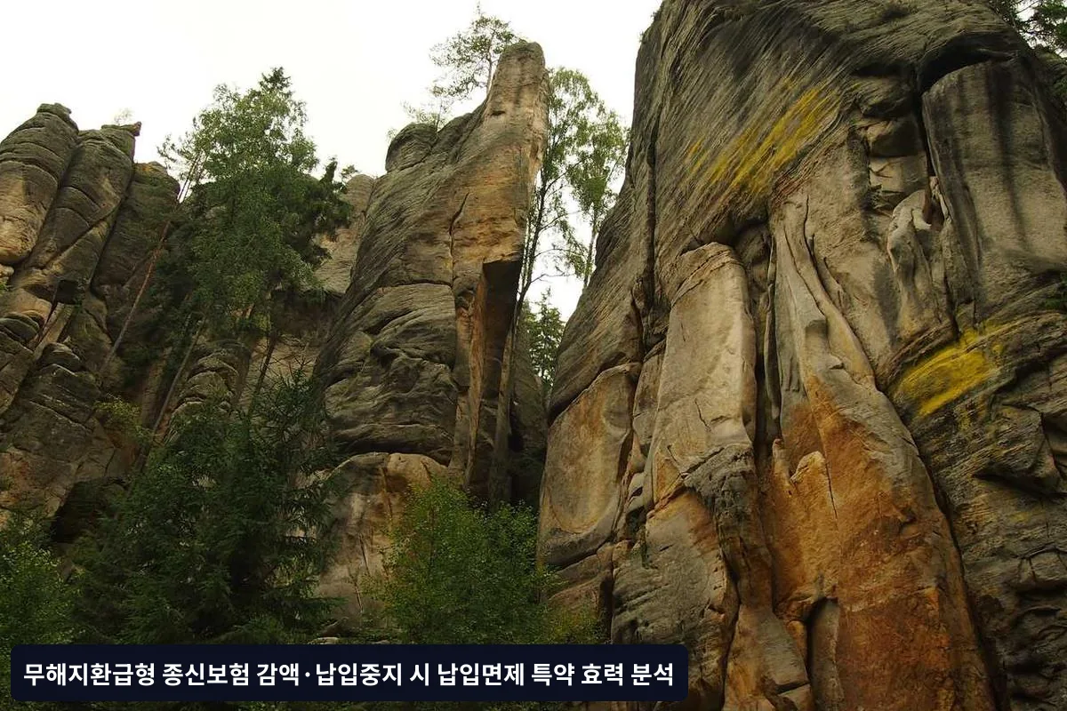 납입면제 특약의 기본 원리