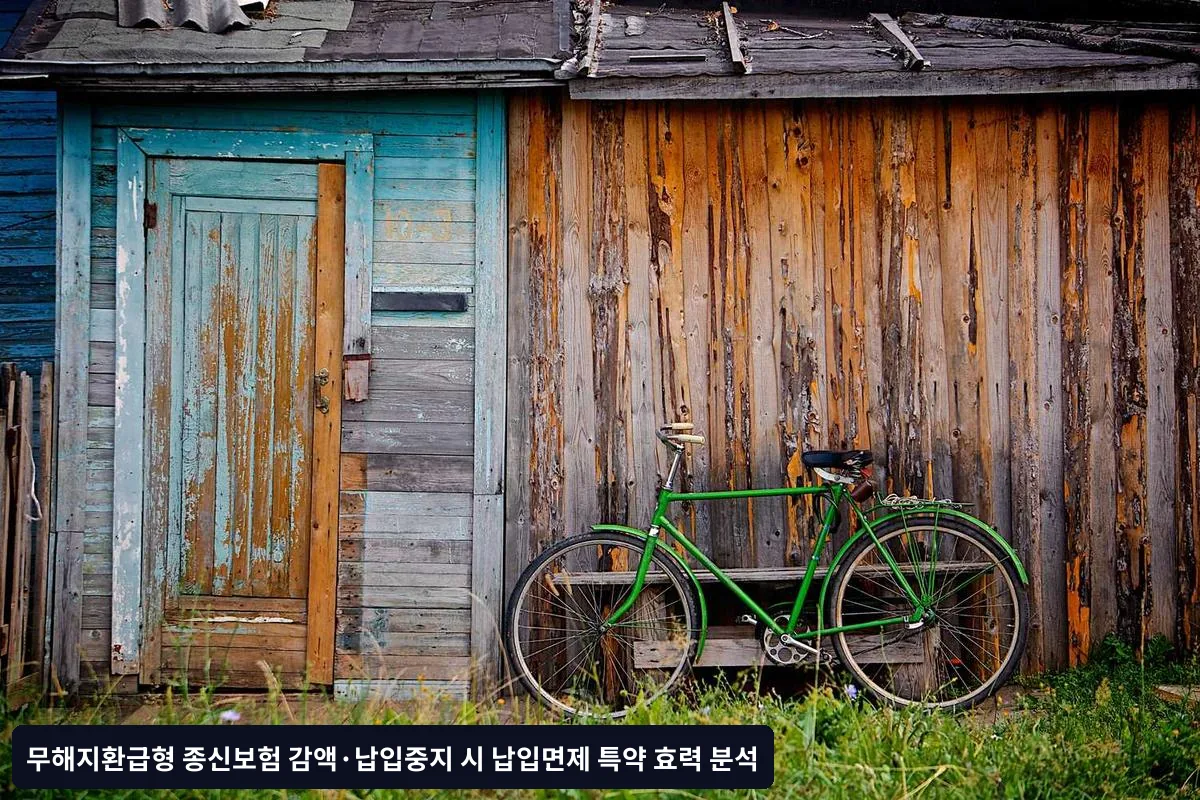 대안적 해결방안