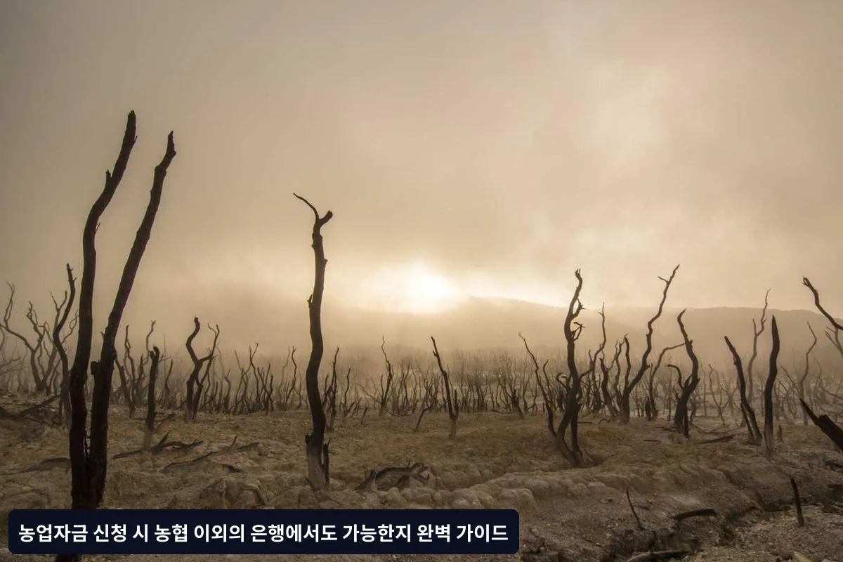 요약 및 체크리스트