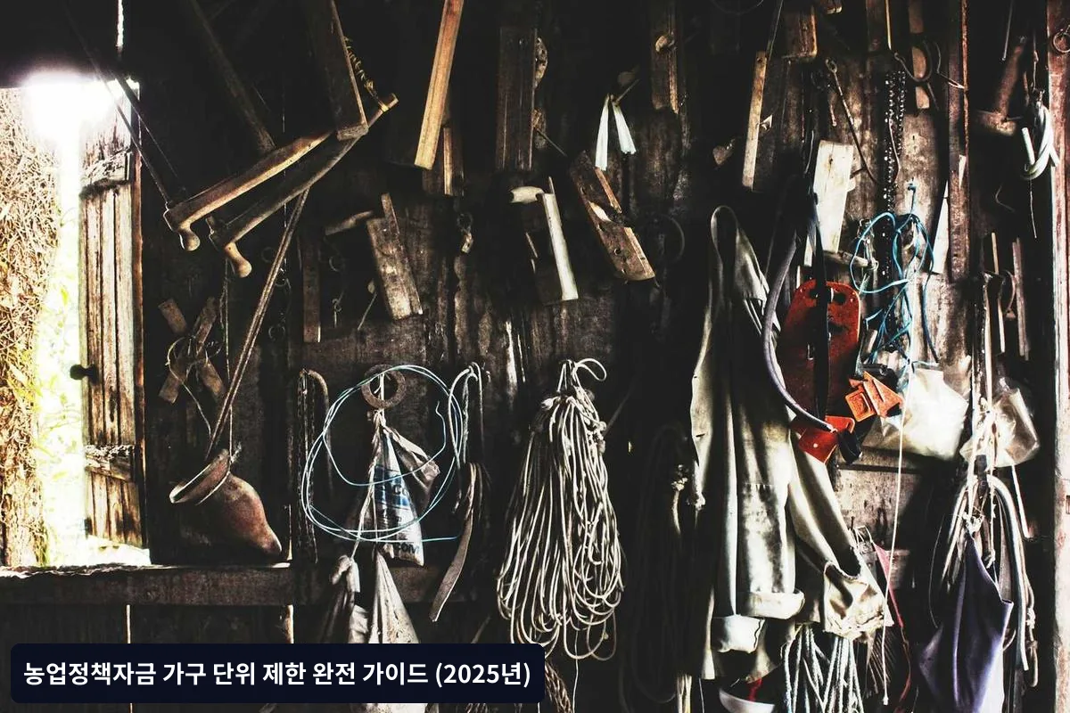 예외 규정 및 특례