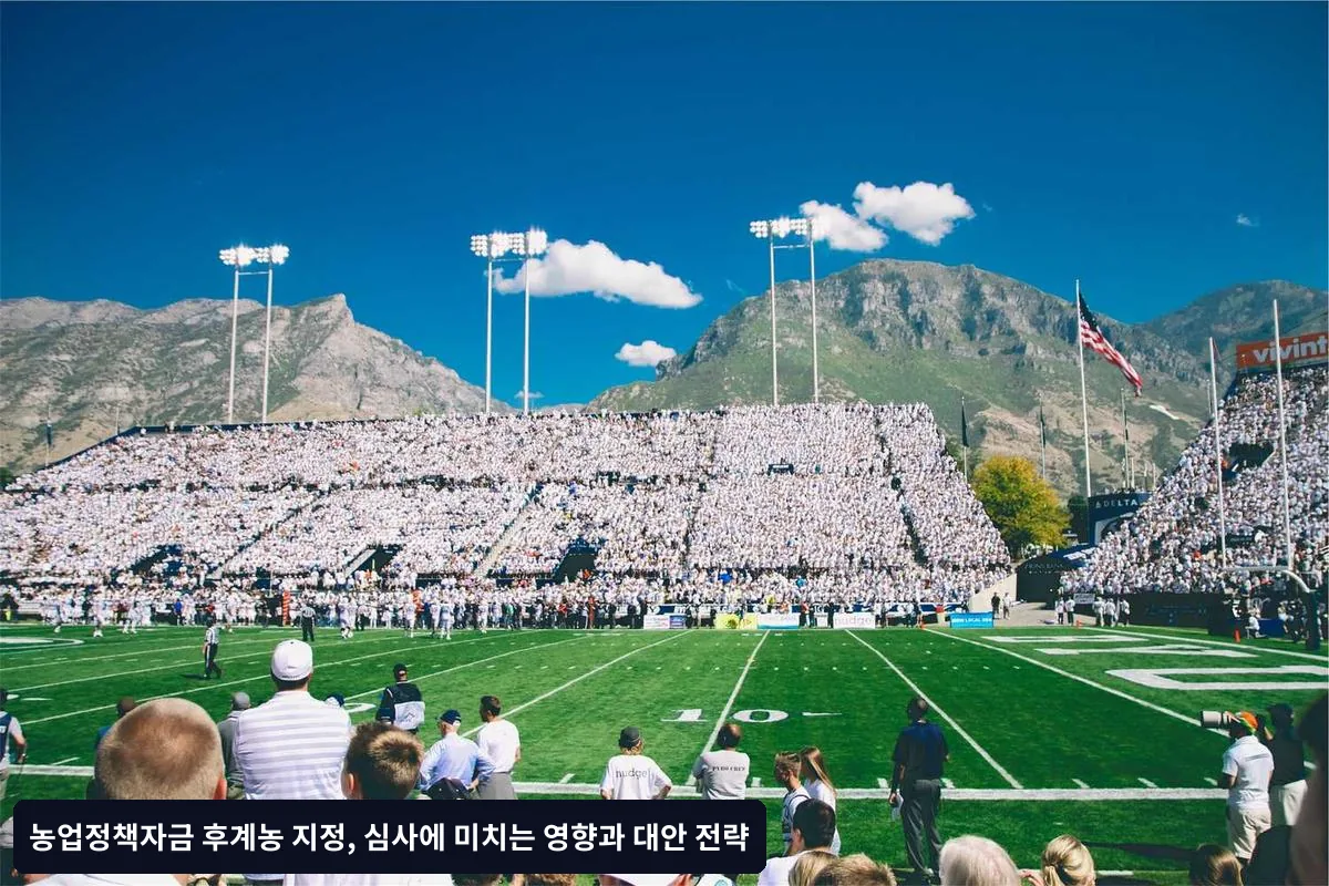 심사 통과를 위한 실무 팁