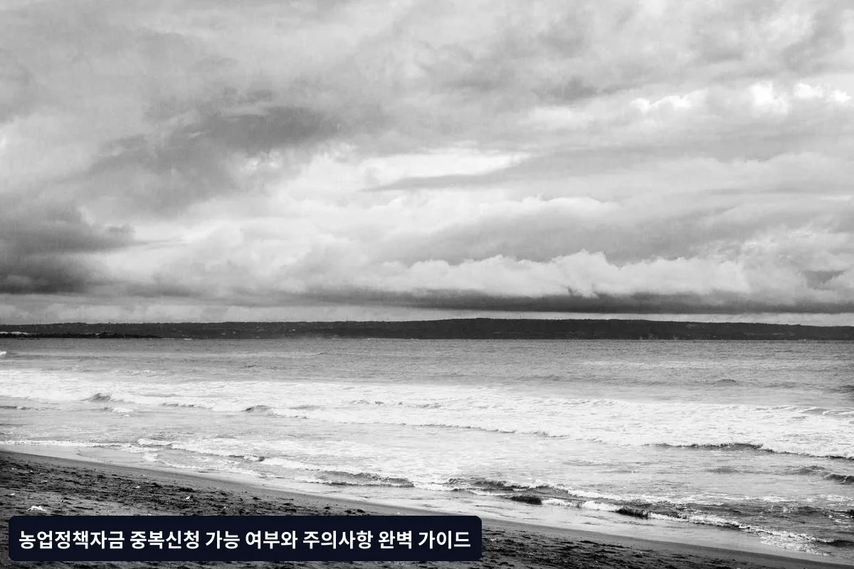 중복신청 시 주의사항