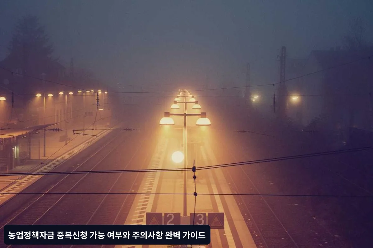 우선순위 결정