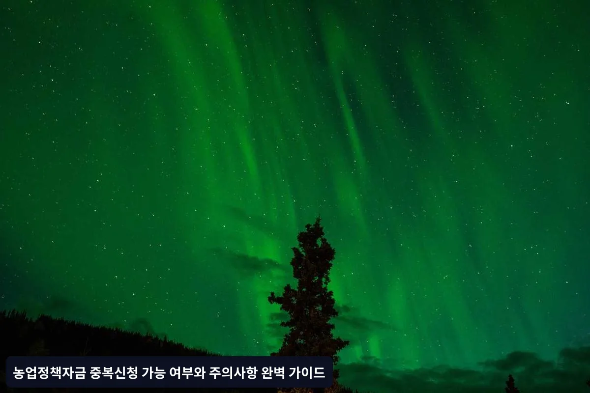 심사 기준 완화