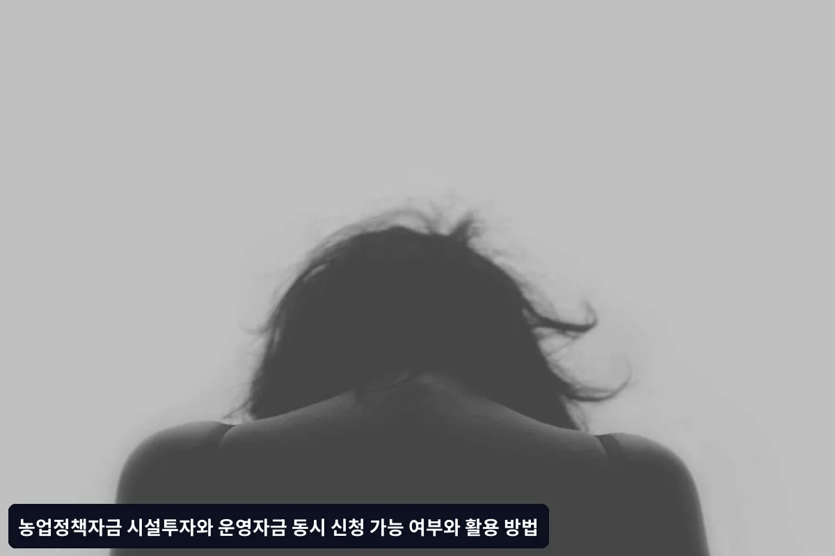 동시 신청 시 주의사항과 제한 조건