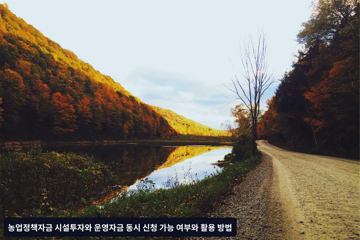 성공적인 동시 신청을 위한 전략