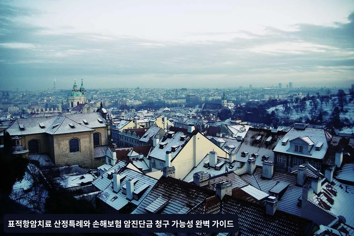 손해보험 암진단금 청구 가능성