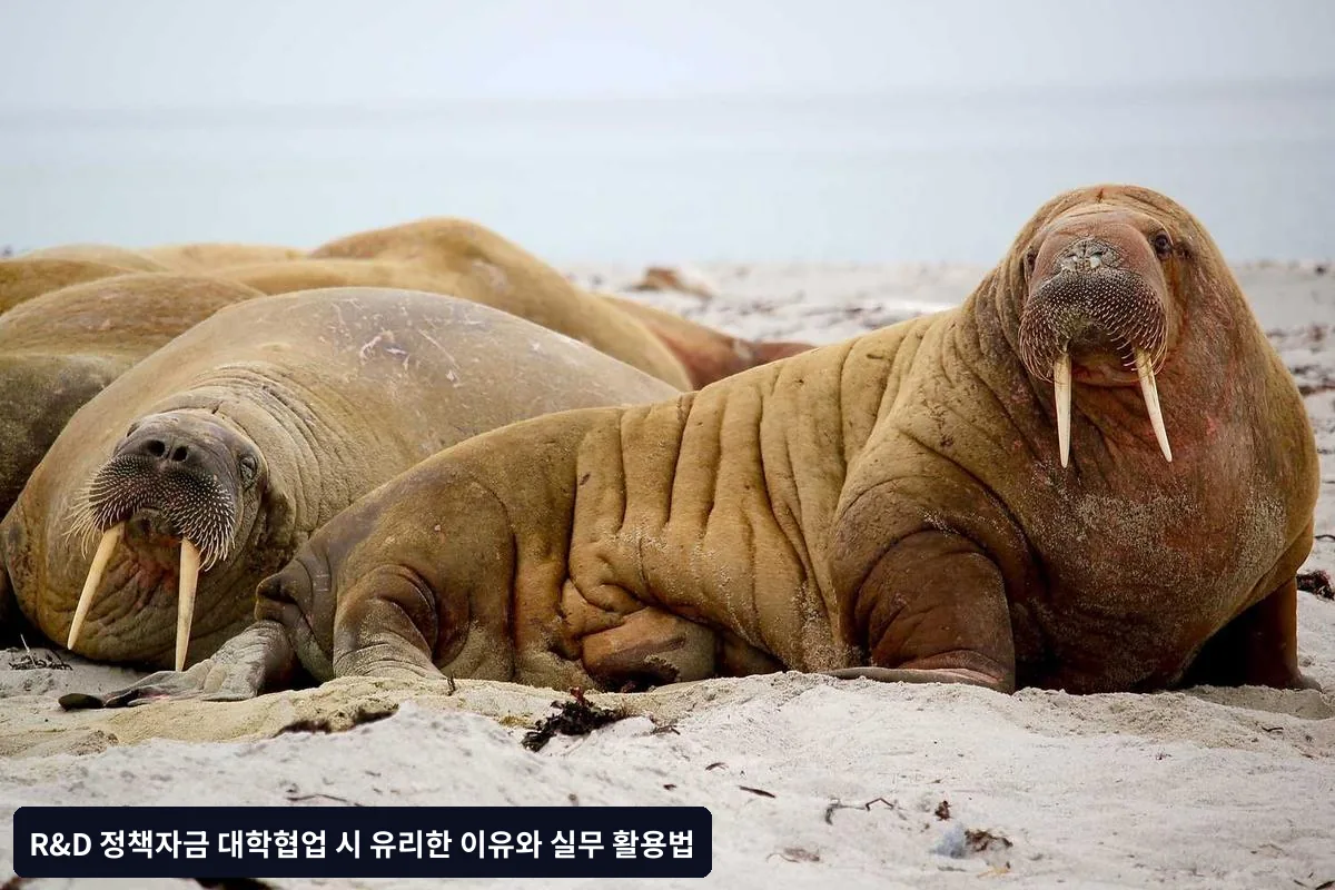 기술적 전문성 강화