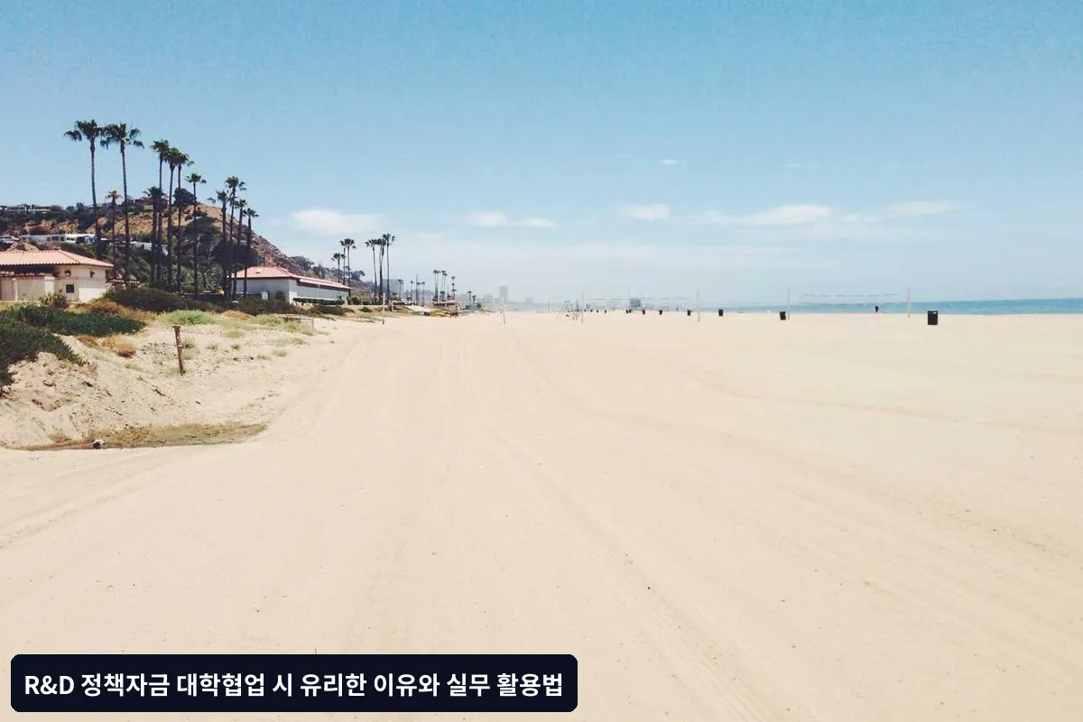 성공 요인 분석