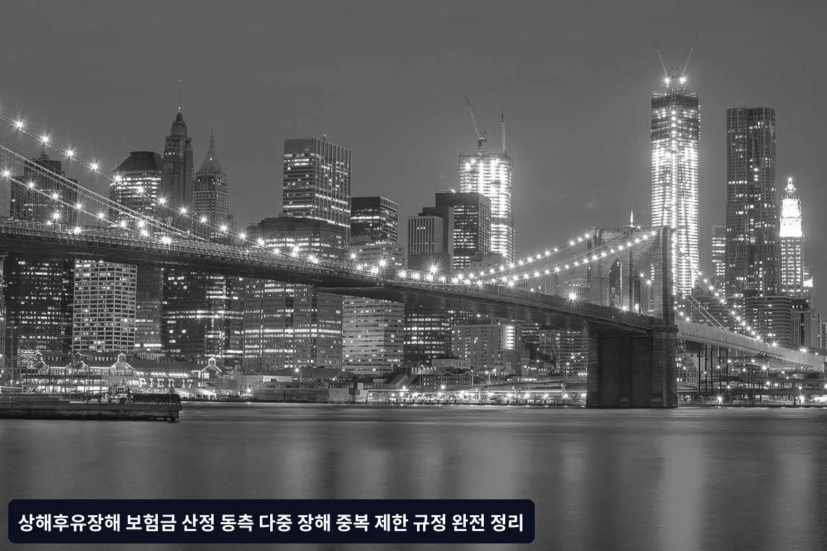 동측 다중 장해와 중복 제한 규정 개념