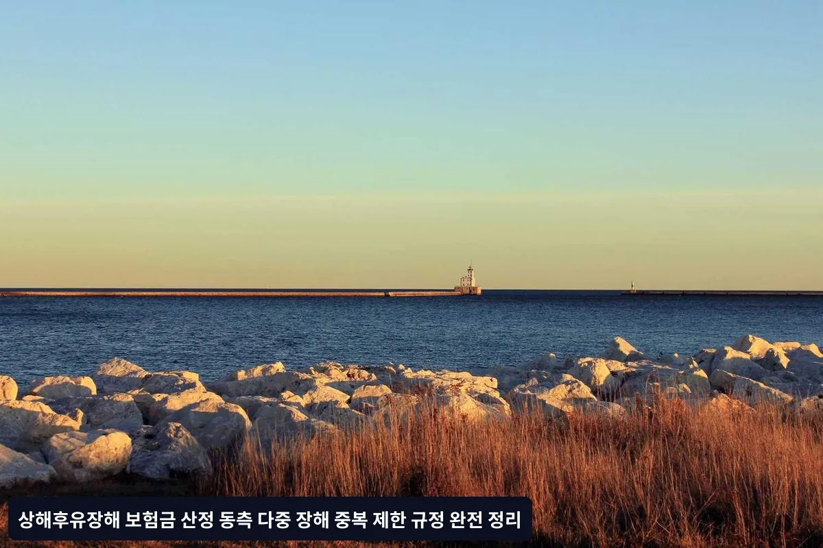 주의사항 및 대응 방안