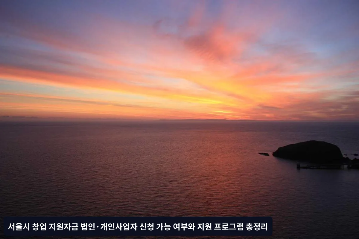 법인과 개인사업자 신청 가능 여부 상세 분석
